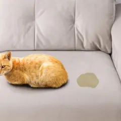 Gato naranja junto a una mancha en un sofá, indicando la necesidad de limpieza de sofás.
