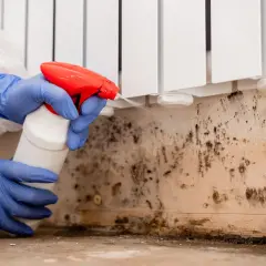 Manos enguantadas rocían un limpiador sobre una pared con moho, preparándose para limpiar paredes con bicarbonato.