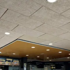 Techo celenit con paneles texturizados y luces empotradas, creando un ambiente moderno y acogedor.