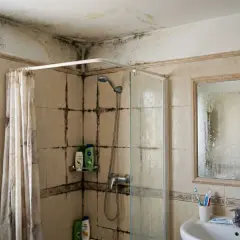 Baño con moho negro en techo y pared contigua ducha. La ducha tiene cortina y mampara de cristal.