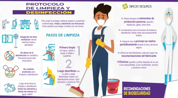 Infografía sobre el protocolo de limpieza y desinfección, con pasos e imágenes ilustrativas. Incluye recomendaciones de bioseguridad.