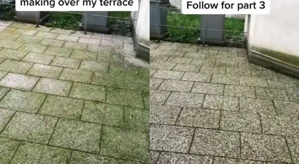 Antes y después de limpiar el suelo de la terraza, mostrando cómo quitar manchas grasa y musgo.