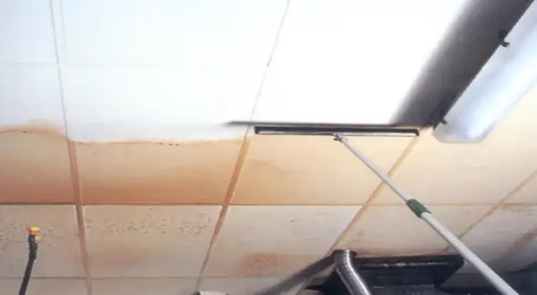 Limpiando manchas de agua en placas de techo desmontable con una mopa.