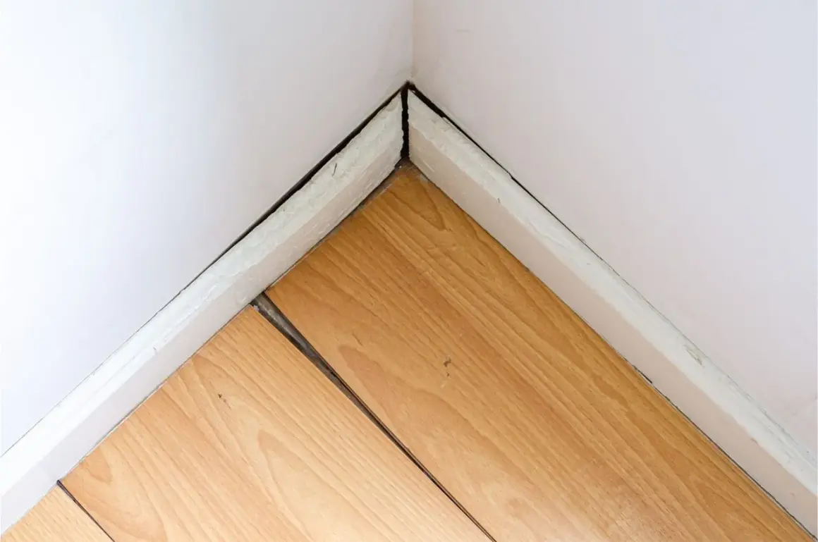 Esquina de habitación con parquet de madera con juntas abiertas. Guía para saber como recuperar el parquet y arreglar estas separaciones.