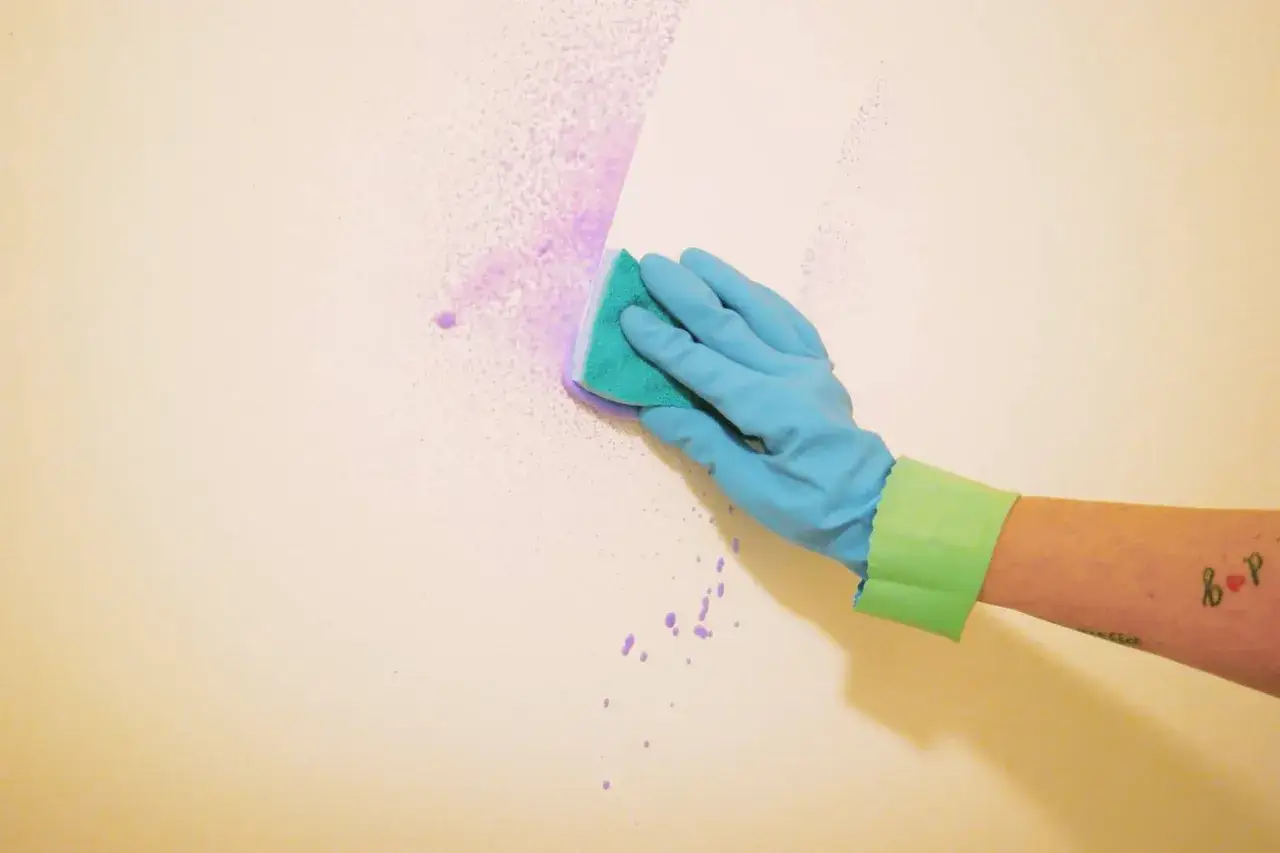 Mano con guante azul limpiando manchas moradas de una pared con una esponja verde. &iexcl;Un truco casero para limpiar paredes con bicarbonato!