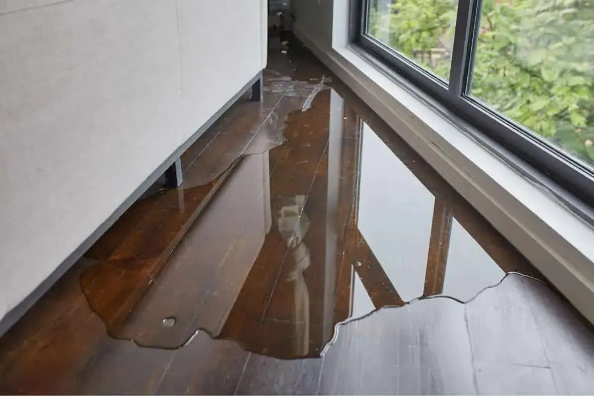 Parquet de madera oscura inundado, reflejando la luz y el exterior. Urge reparar parquet da&ntilde;ado por humedad.