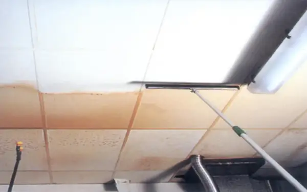Limpiando manchas de agua en placas de techo desmontable con una mopa.